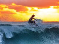 包含今晚法网焦点战！波尔图迎战曼城，爆冷或上演的词条